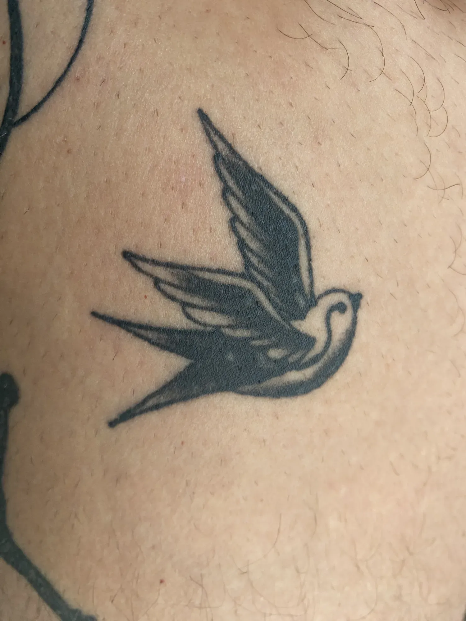 Black & grey zwaluw op het been, tattoo Gent